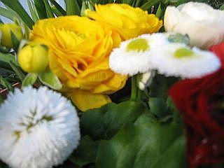 bi604rct4f3dap145.jpg