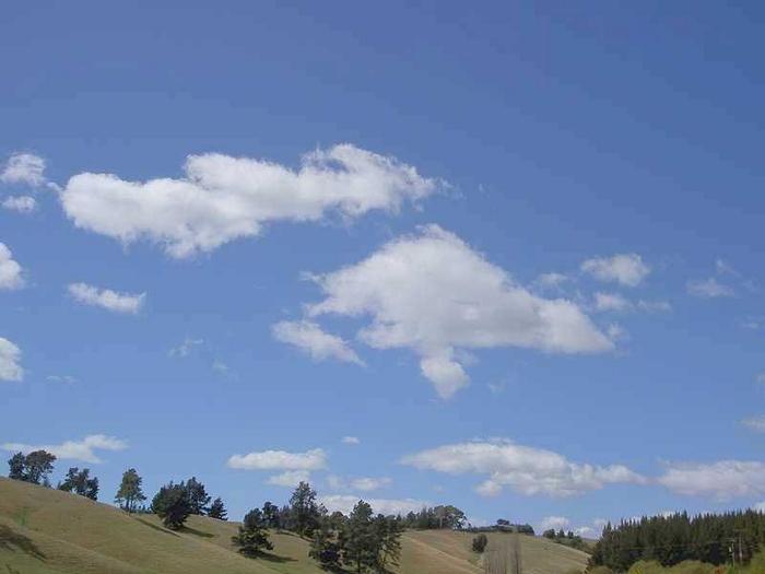 4011497.jpg