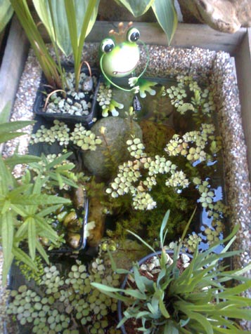 22010049jn.jpg