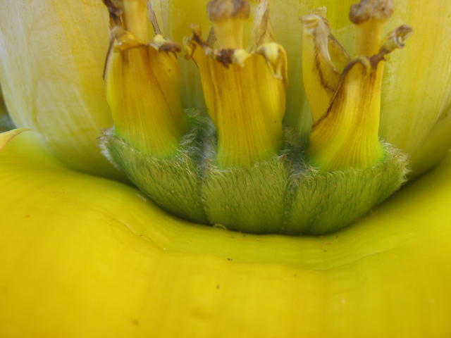 23005251zp.jpg