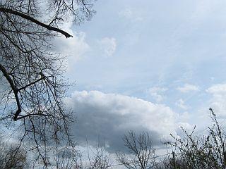 bk0668ykkgq6seel2.jpg
