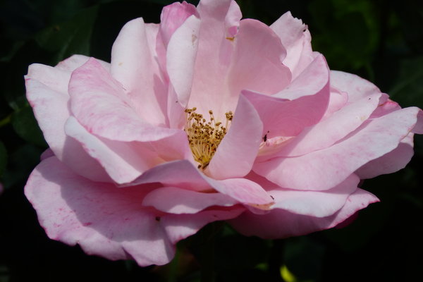 36316494ld.jpg
