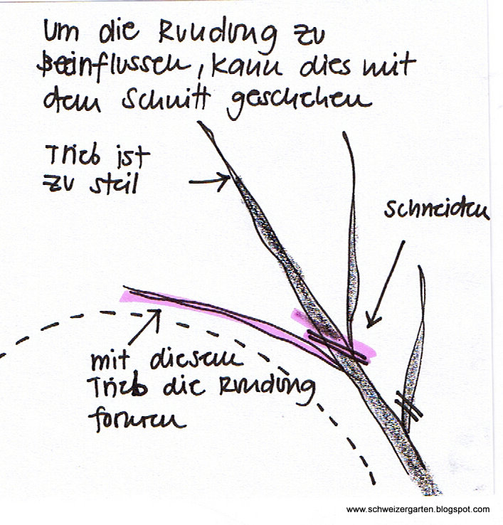 Oben-3.jpg