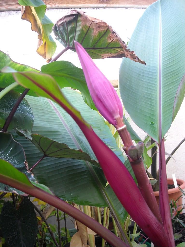 DSCN1658.jpg