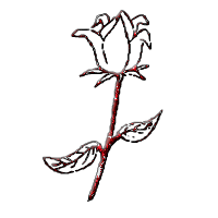 rosen-0383.gif