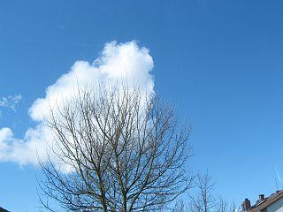 bhopv3h091ly606qf.jpg
