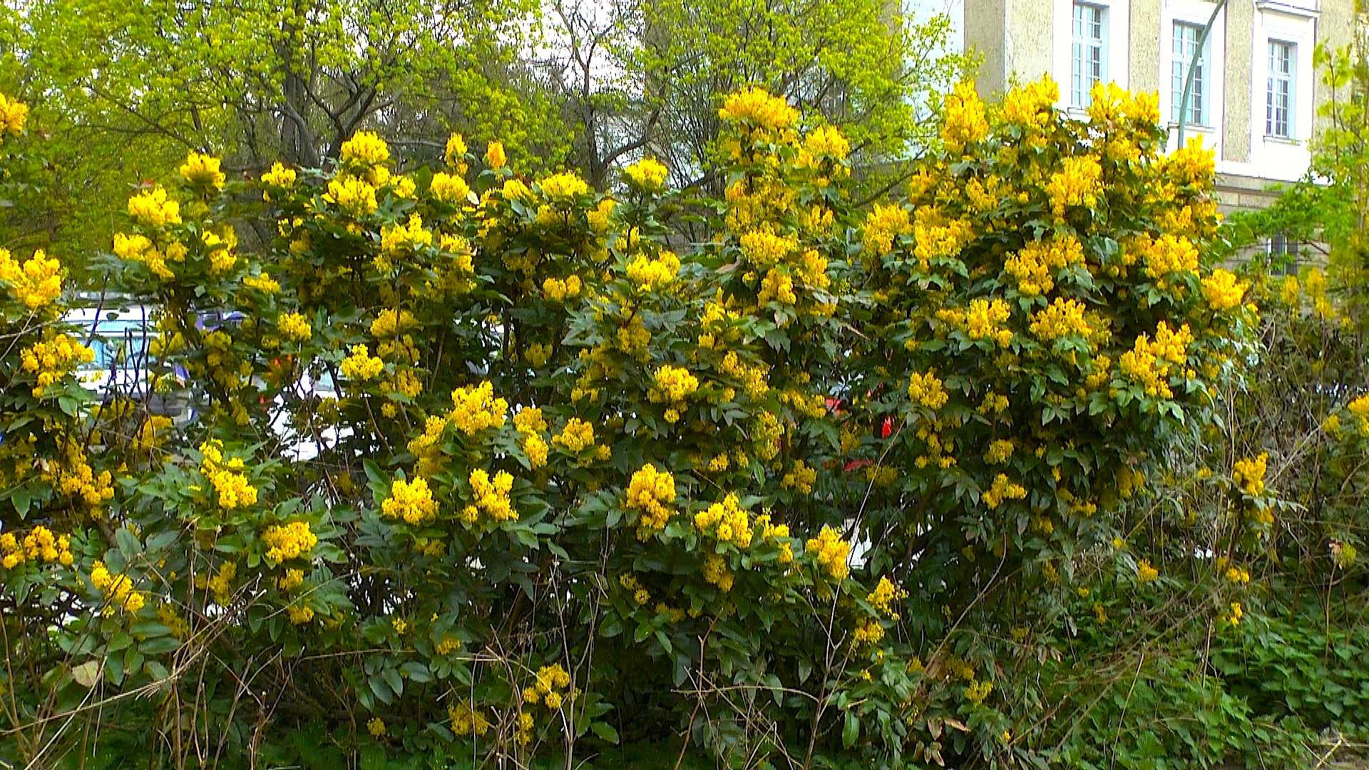 www.gartennatur.com
