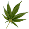 smokespliff.gif