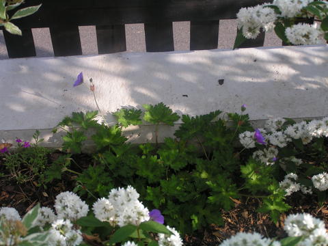 4569810.jpg