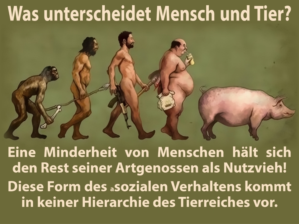 der-unterschied-zwischen-mensch-und-tier.jpg