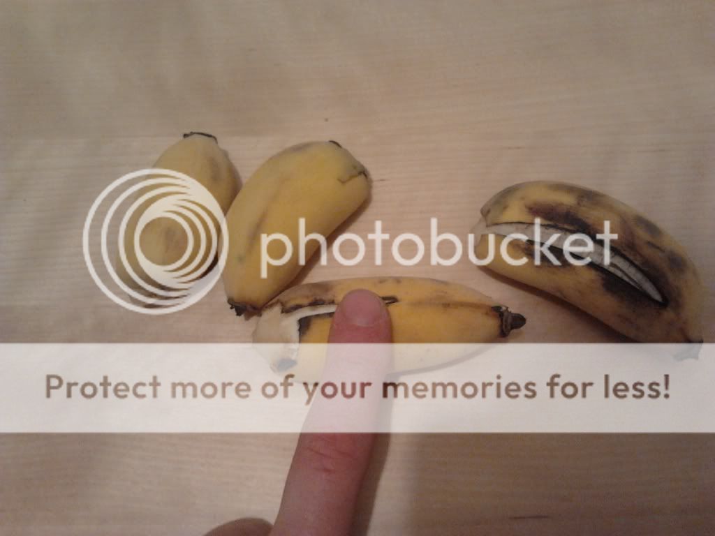 2011-12-25193032.jpg