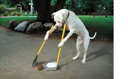 doggie-pooper-scooper.jpg