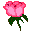 Flower04.gif