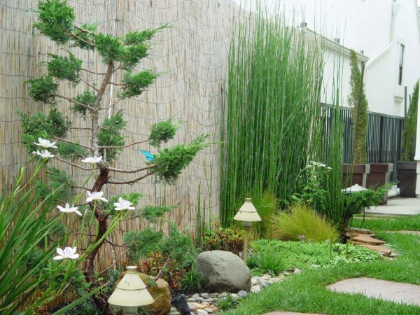 modern-landschaft-garten-gestalten.jpg