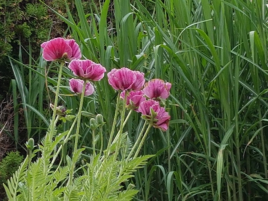 35918927di.jpg