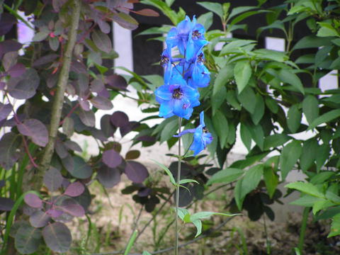 4719193.jpg