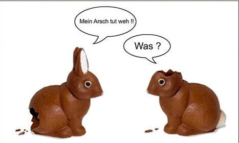 mein-arsch-tut-weh-hase.jpg