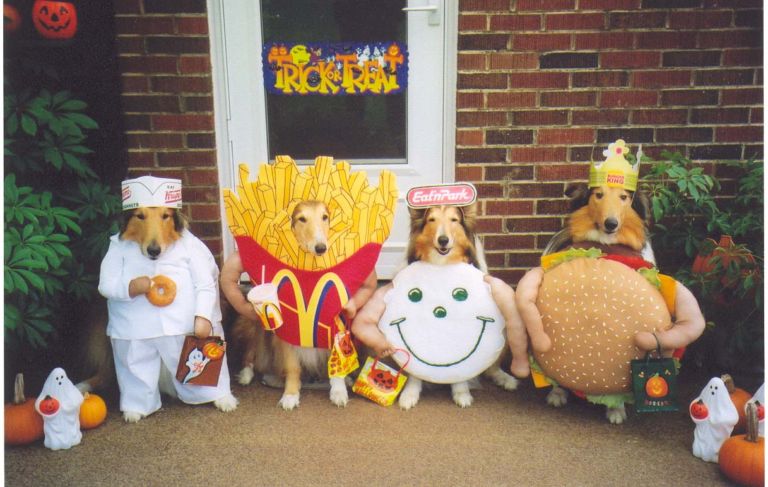 mascot_dogs.jpg