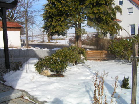 3721820.jpg