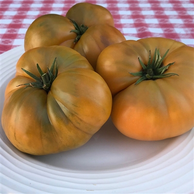 www.tomatofest.com