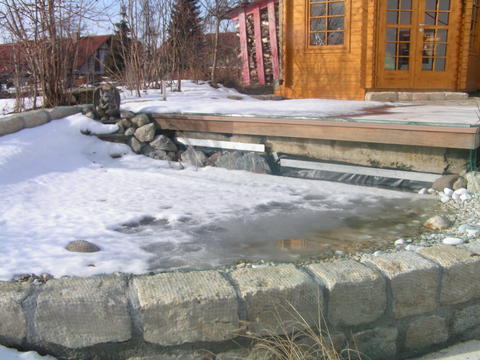 3721815.jpg