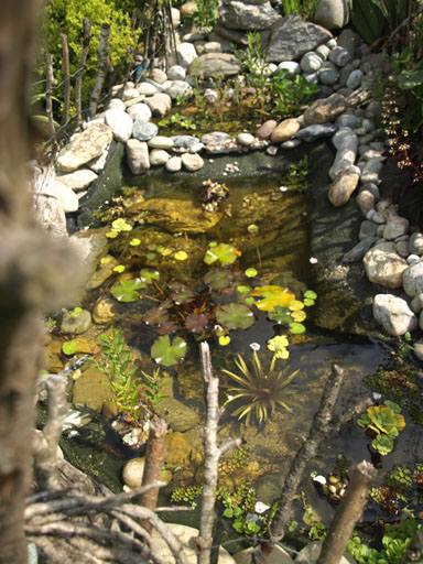 22010050th.jpg