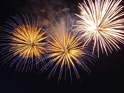 400px-Bratislava_New_Year_Fireworks.jpg