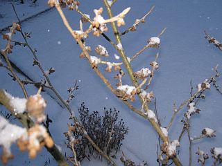 bfy067gvioxl9h3gw.jpg