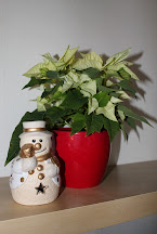 LoBSdsT7MlQo2KAnO8sqCUk2kJy9Z3yhYCFdX0Qc17M=w145-h216-p-no