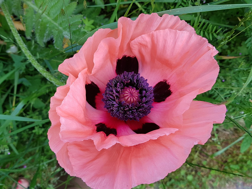 35918960uf.jpg