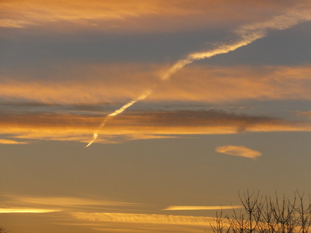 24114807iv.jpg