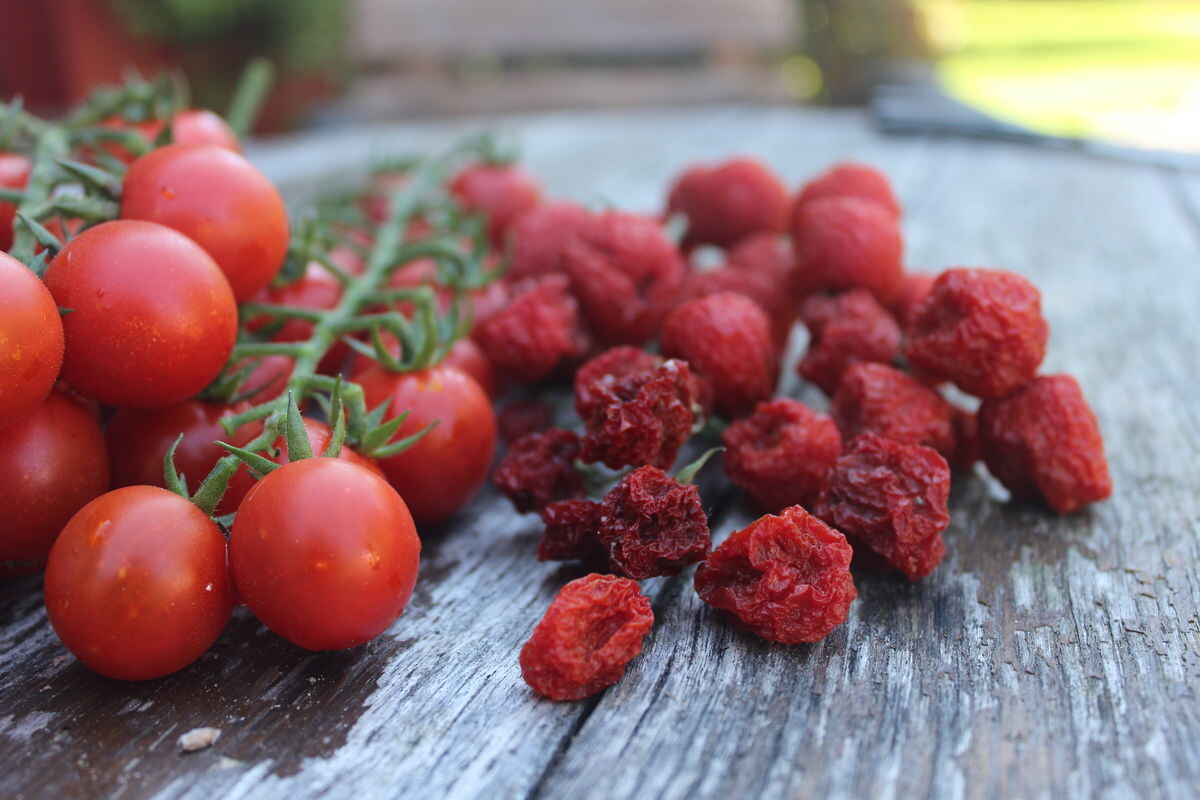 www.obst-und-garten.de