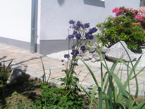 4569419.jpg