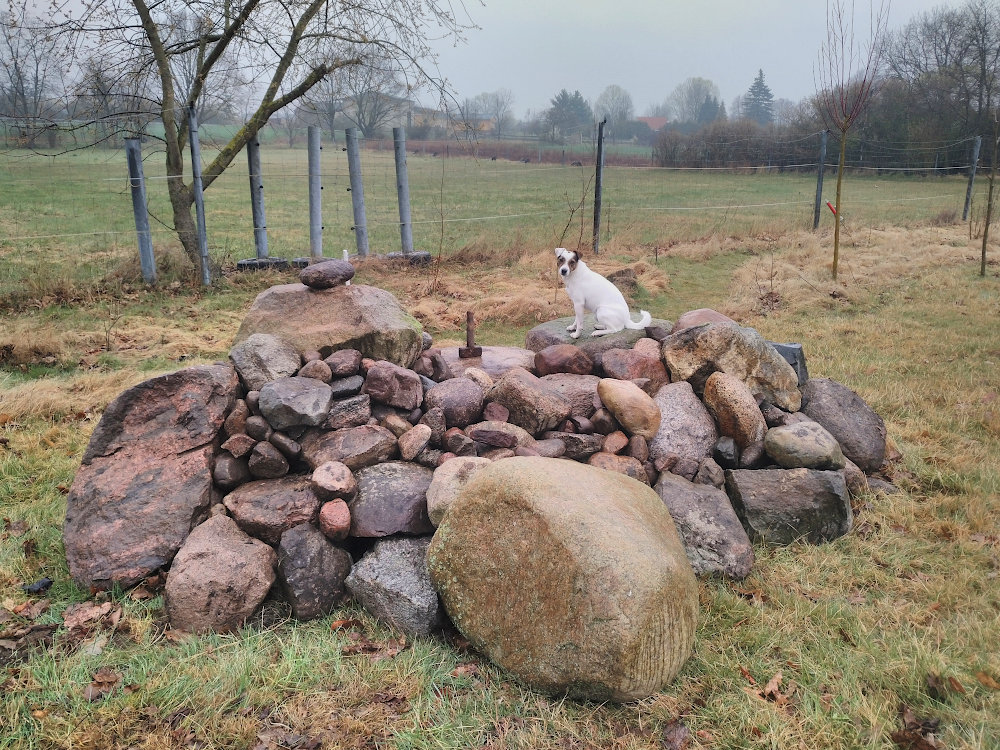 lesesteinhaufen_1.jpg