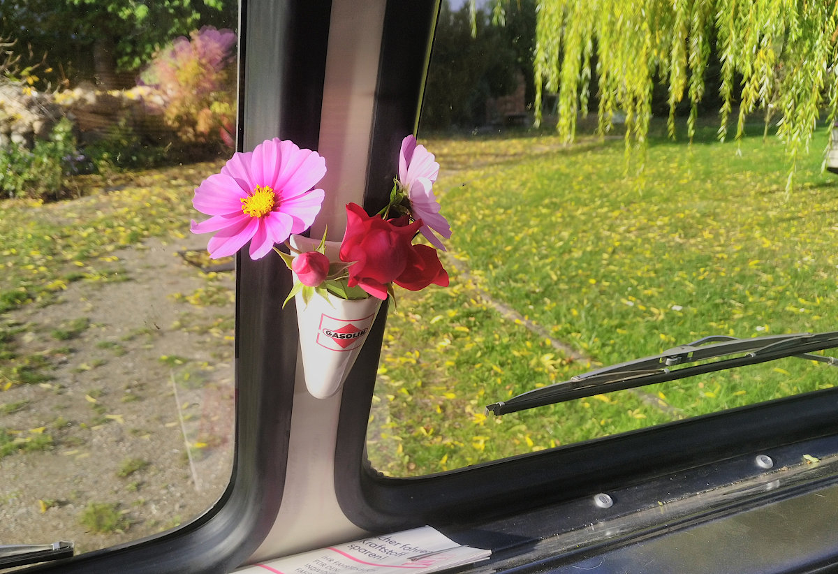 cosmea_bus_12.10.26.jpg
