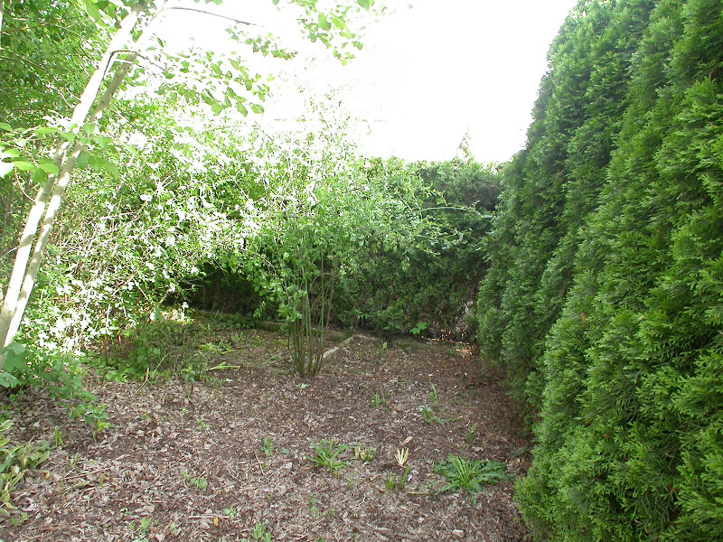 DSCN1014.JPG