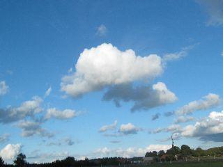 bd1xpmibidto633th.jpg