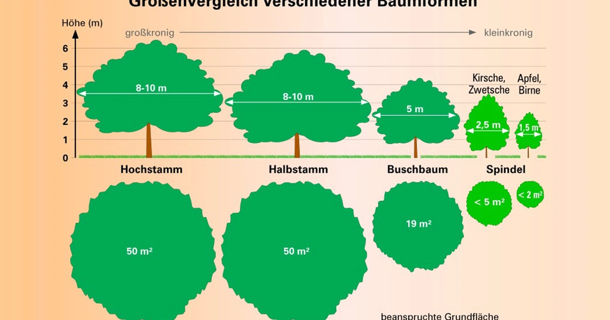 www.obstzentrum.de