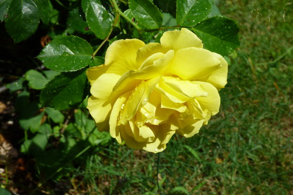 36316486qg.jpg
