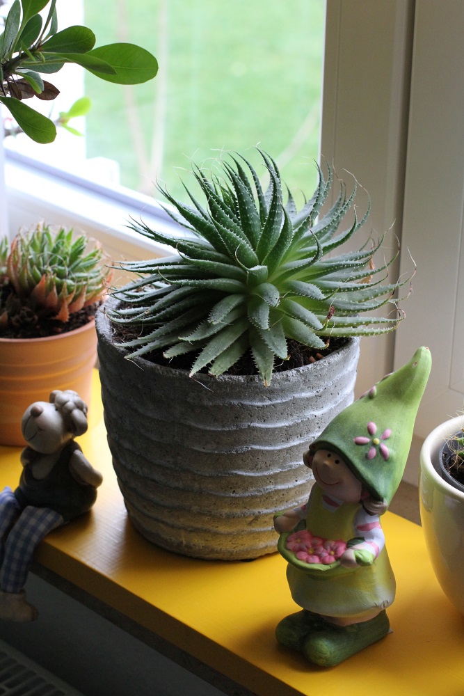 flowerpot.jpg