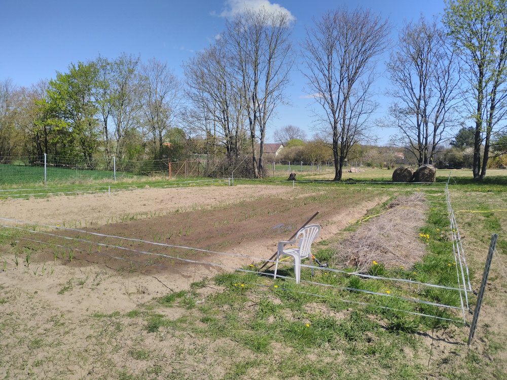 gartenland_26.04.26.jpg