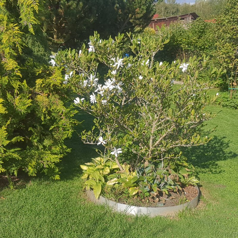 39387135df.jpg