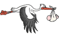 geburt-0019.gif