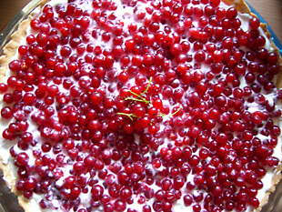 johannisbeeren-tarte.jpg