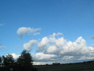 bd16892d7roizornd.jpg