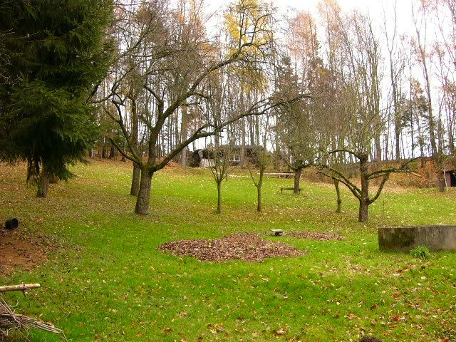 laub1.jpg