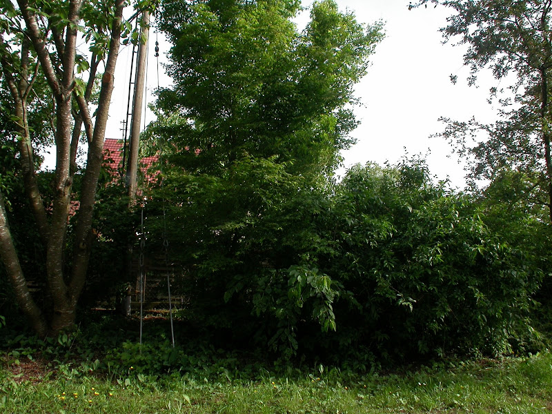 DSCN1007.JPG