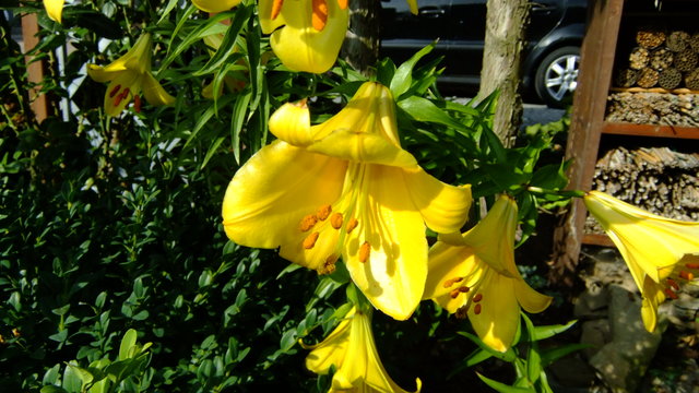 36269787vh.jpg