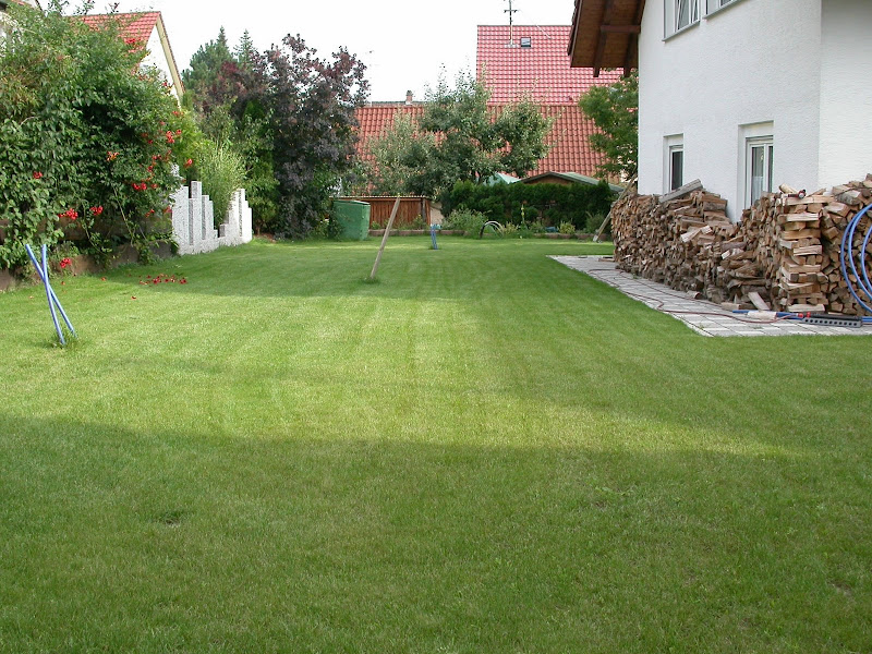 DSCN1462.JPG