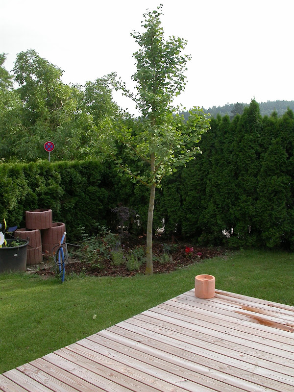 DSCN1469.JPG